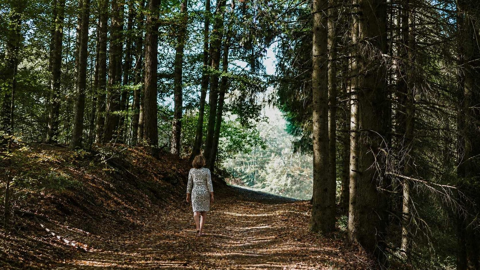 Eine Frau geht einen Waldweg im Herbst, unterwegs nach innen